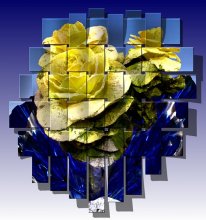 Welche Blume ist das? / ***