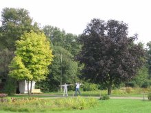 so verschieden und doch zusammen / ***