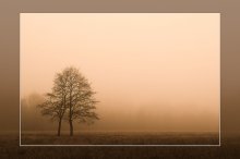 Immer zusammen ... / ***