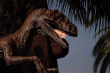 Drakosha / Universal Studious