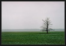 über den Winter und die Einsamkeit / ***