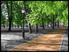 Park / ***