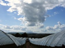 Der Weg in die Cloud / ***