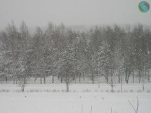Schnee, Schnee ... / ***