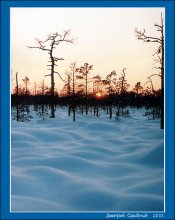* Winter Schnee gehüllt Holz * / ***
