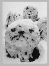 Menschen / ***
