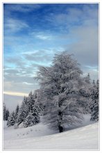Einfache Winter Etüde / ***