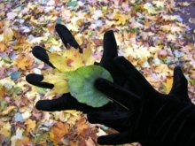Sie und Herbst / ***
