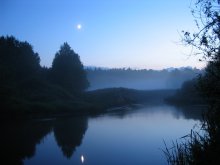 Nebel / ***