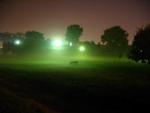 im Park 2 / ***