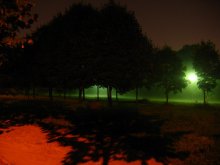 im Park 3 / ***