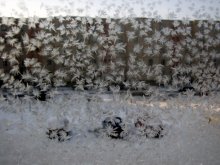 Winter Flusen / ***