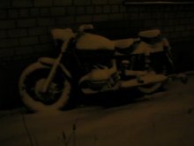 Winterschlaf / ***