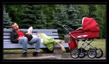 - parents - / ***