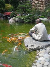 Japaner Fisch in der japanischen Garten / ***