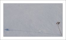 Einsamkeit und Ruhe / iso-64 + 1/1000