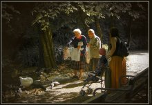 Der alte Mann und alte Dame füttern die armen Enten im Stadtpark / ***