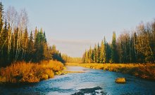 Taiga-Fluss / ***