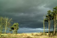 einer solch schrecklichen grauen Himmel / ***