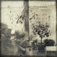 Traum / ***