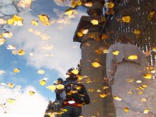 Leaving Herbst ... / ***