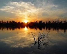Sonnenuntergang / ***