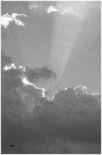 Casual Blick auf den Himmel / ISO-400