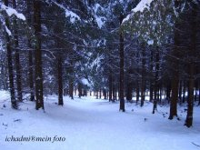 eine kleine Spur zu Fink (g.Zebnitts) / ***