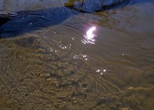 Fußabdruck auf dem Wasser. / ***