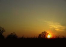 Auf dem Weg nach Hause / ***