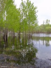 High Water * / ***