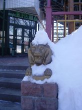 Snow Lion / ***