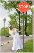 No name ... eine Reihe von Hochzeit Gefolge / ***