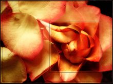 Magic Blumen / ***