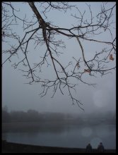 Two and a Nebel / ***