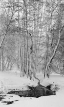 Nach dem Sturm / ***
