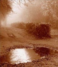 .. Die alte Sonne im alten Park ... / ***