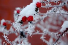 Nostalgie für den Winter / ***