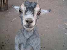 Und hier bin ich ... nicht erwarten? :) / ***