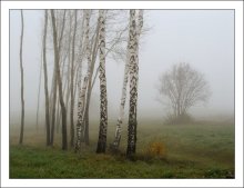 Nebel / ***