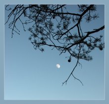 Trap für den Mond / ***