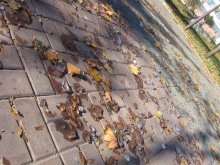 Herbst-Winter / ***