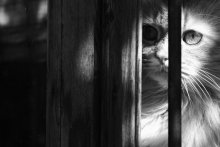 IMG_0576' / ***