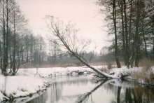 Einfach Foto / ***
