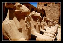sphinks alley / ***