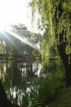 Sonnenlicht oder Morgen auf dem See / ***