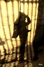 Shadow / ***