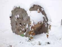 Winter fegte über die Blätter / %%%%%