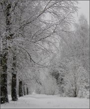 nur im Winter ... / ***