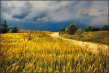 Field vor dem Sturm / ***